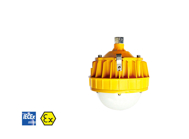 BPC8766 EXPLOSION-PROTECTED LED PENDANT LIGHT FITTING